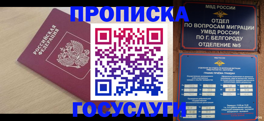 прописка законно в Тольятти